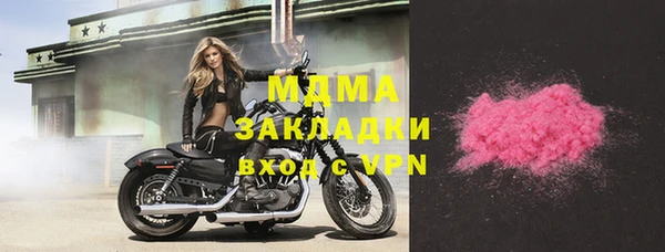 индика Горно-Алтайск