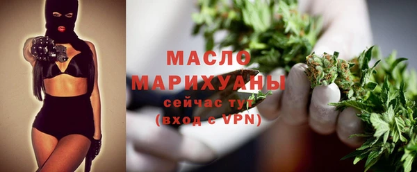 индика Горно-Алтайск