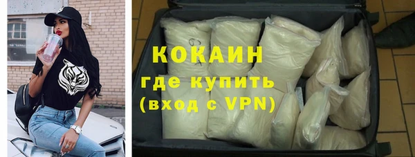 индика Горно-Алтайск