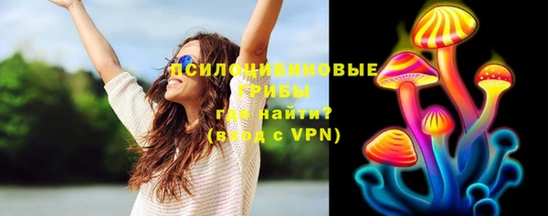 дурь Горняк