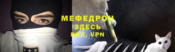 индика Горно-Алтайск
