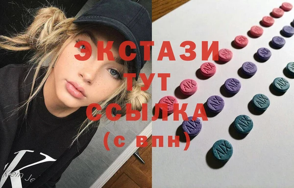 индика Горно-Алтайск