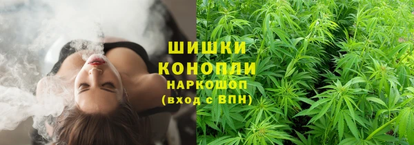 дурь Горняк