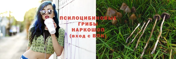 дурь Горняк